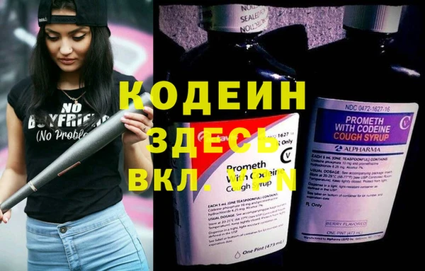 прущие грибы Алексеевка