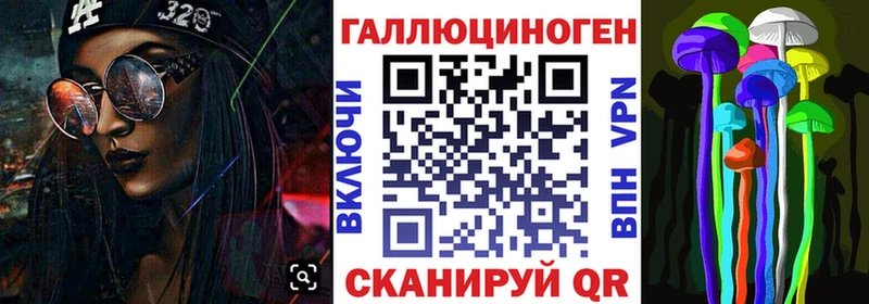 KRAKEN вход  Прокопьевск  Галлюциногенные грибы Psilocybe 