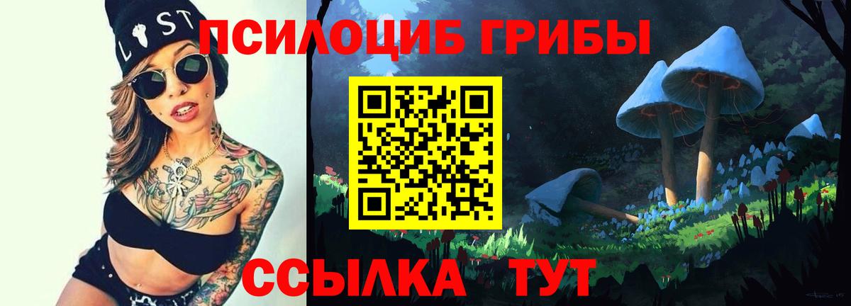 Псилоцибиновые грибы Magic Shrooms Прокопьевск