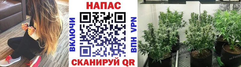 мориарти как зайти  купить наркоту  Прокопьевск  МАРИХУАНА AK-47 